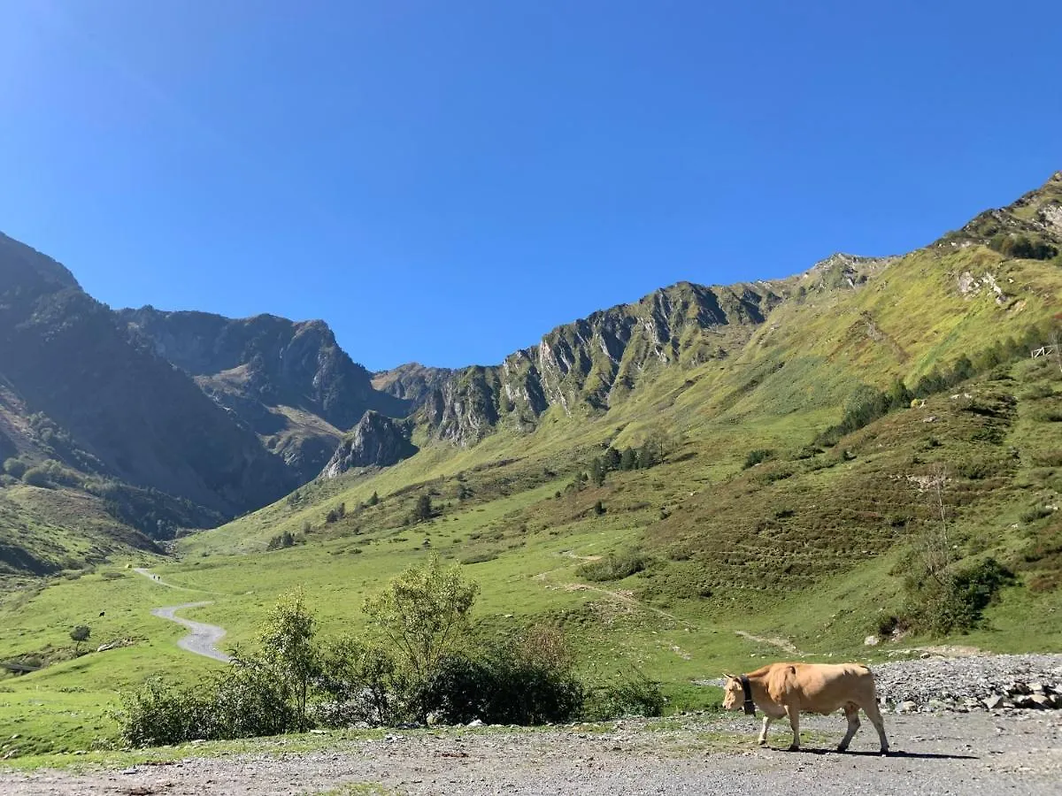 Studio 4 Personnes Pied Telecabine Petit Vignemale Cauterets 0*,  France